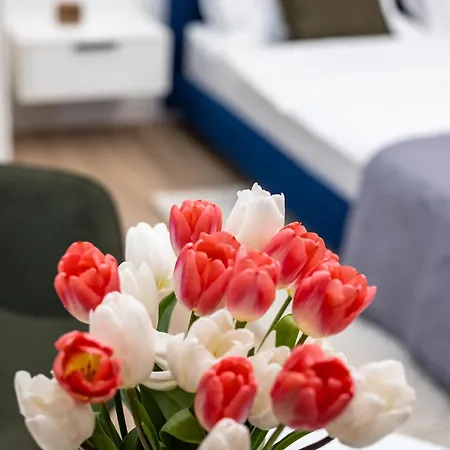 Aparthotel Montenel Apartel Lviv