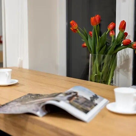 Montenel Apartel לבוב