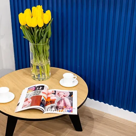 Montenel Apartel לבוב