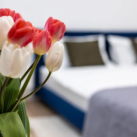 Montenel Apartel 3* לבוב