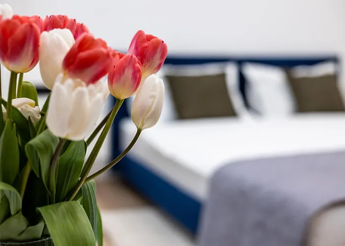 Montenel Apartel 3* Львів